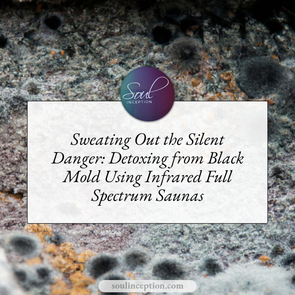 Sweating Out the Silent Danger Detoxing from Black Mold Using Infrared